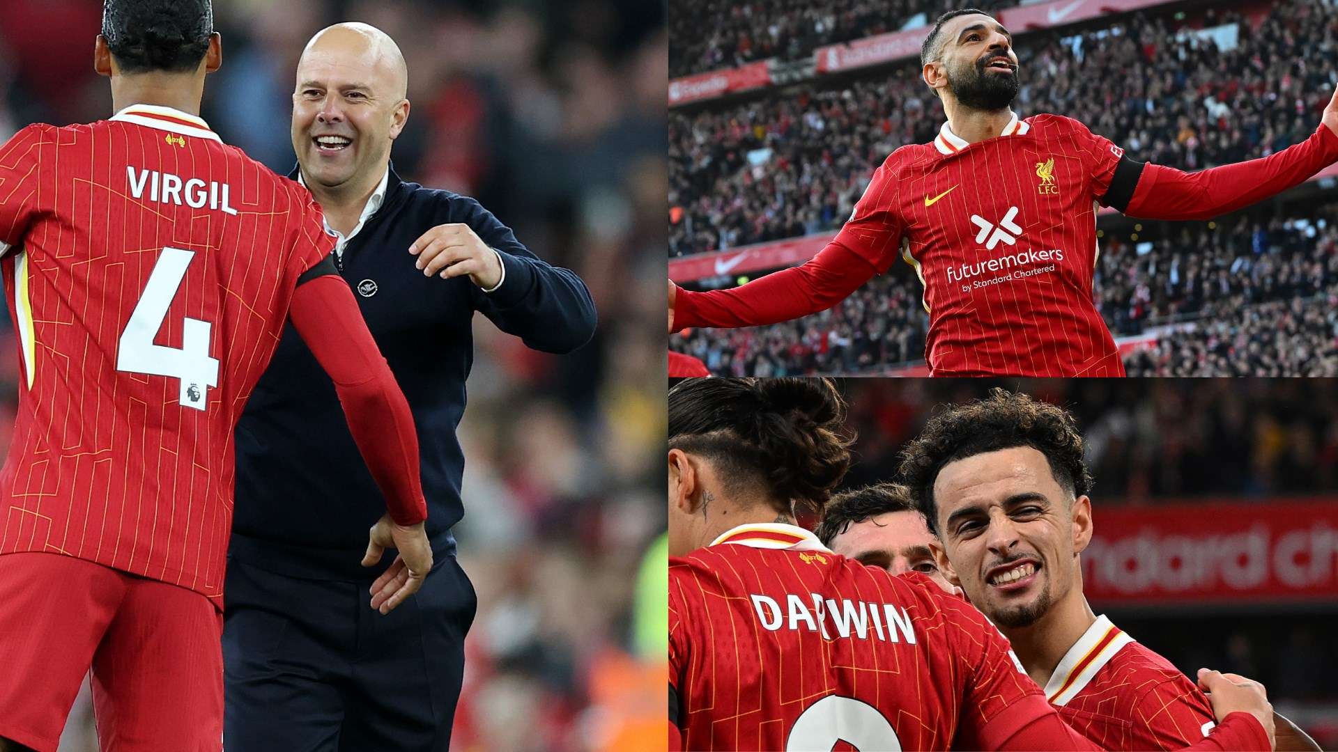 依然是他们 依然是他们