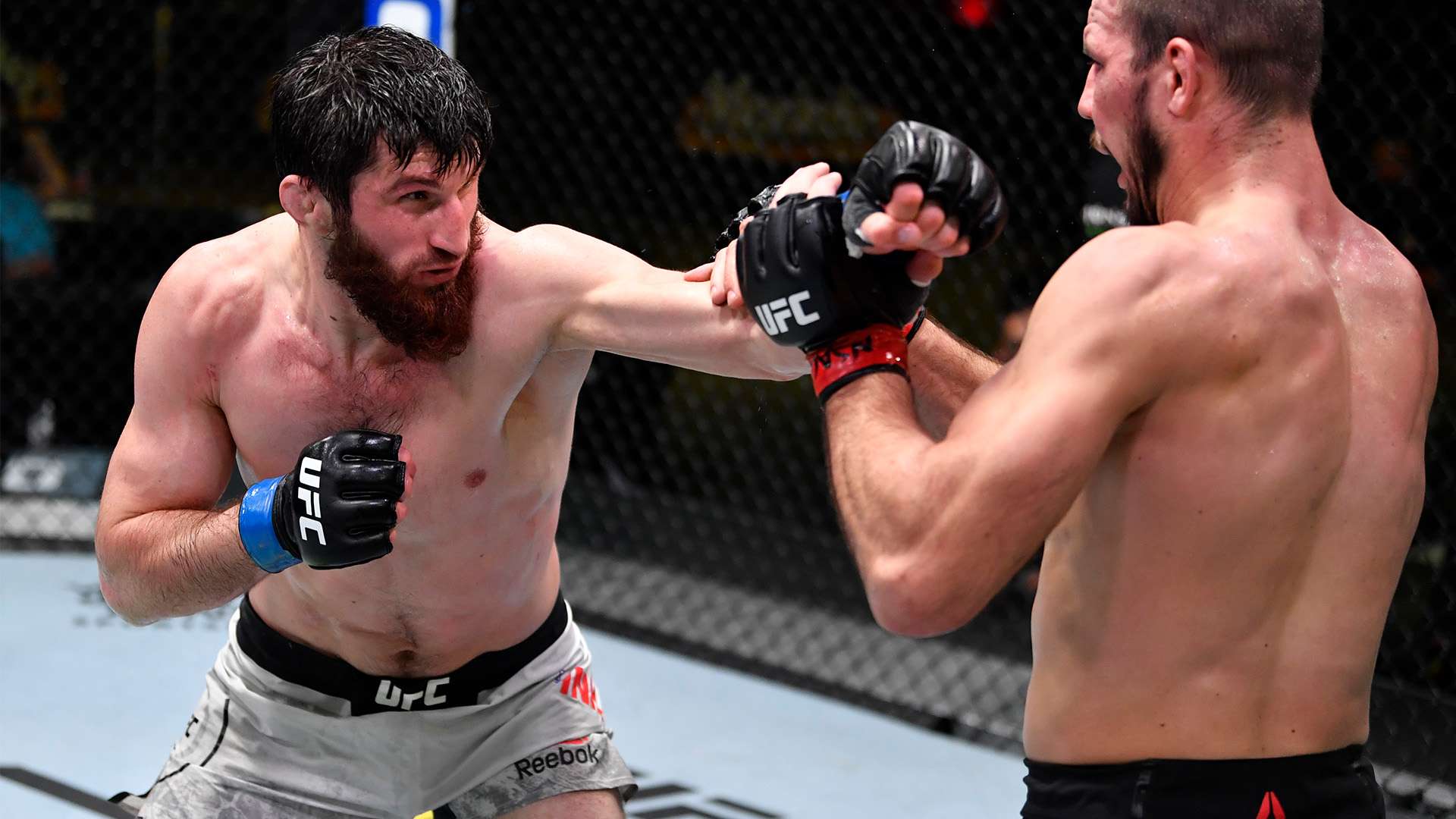 丰富的老将 丰富的老将